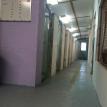 Downtown Indoor Kennels
