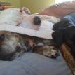 Taz and Mia