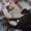 Meika and Mia