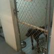 Our guest Rufus