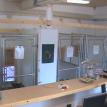 Uptwon Kennels from the counter