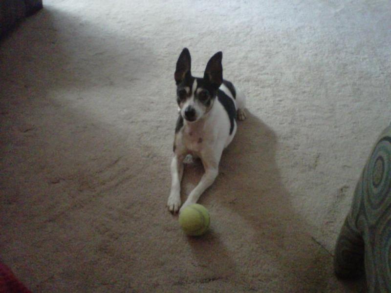 Roscoe